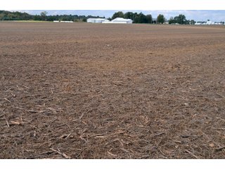 Property photo 39 - EHLE FARMS AUCTION - 118+/- ACRES IN 9 TRACTS IN ALLEN COUNTY, INDIANA